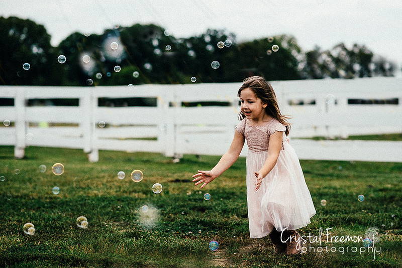 Franklin Family Photographer