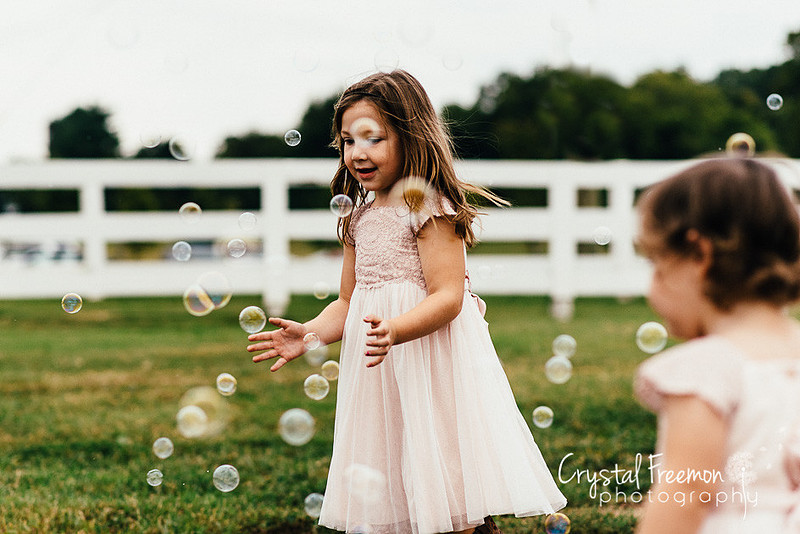 Franklin Family Photographer