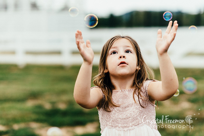 Franklin Family Photographer