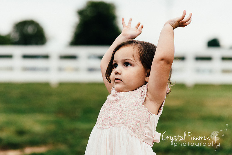 Franklin Family Photographer