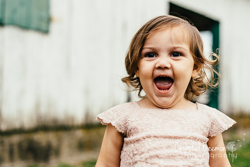 Franklin Family Photographer