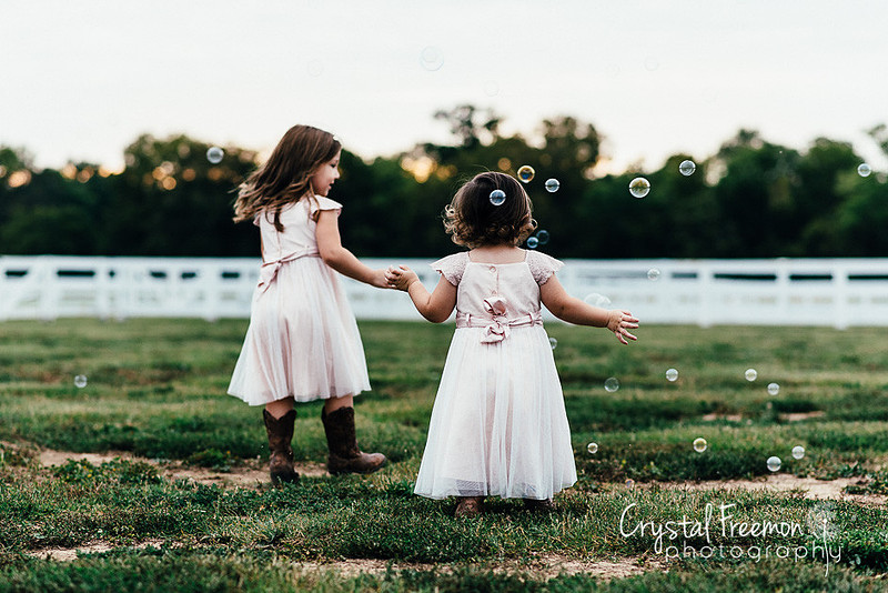 Franklin Family Photographer
