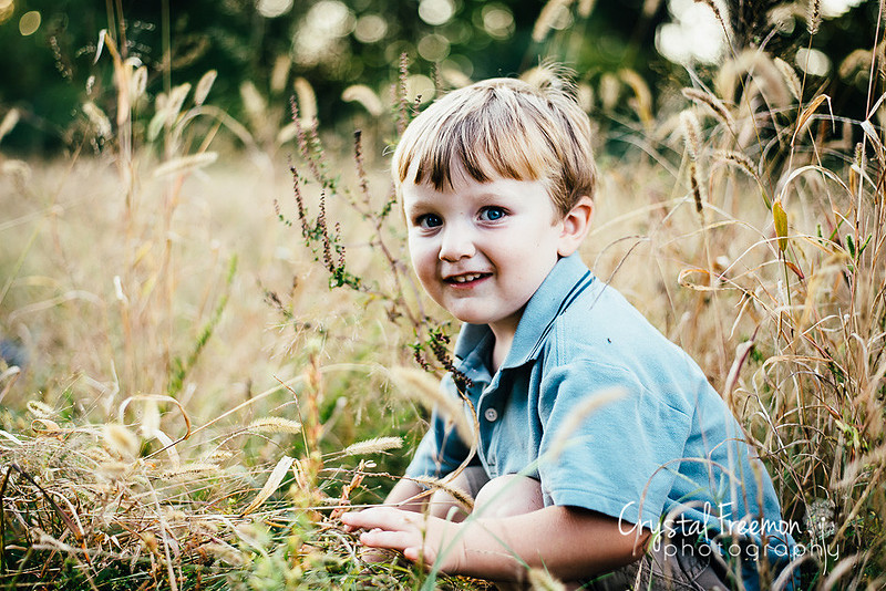 Spring Hill Family Portrait Photographer Crystal Freemon Photography