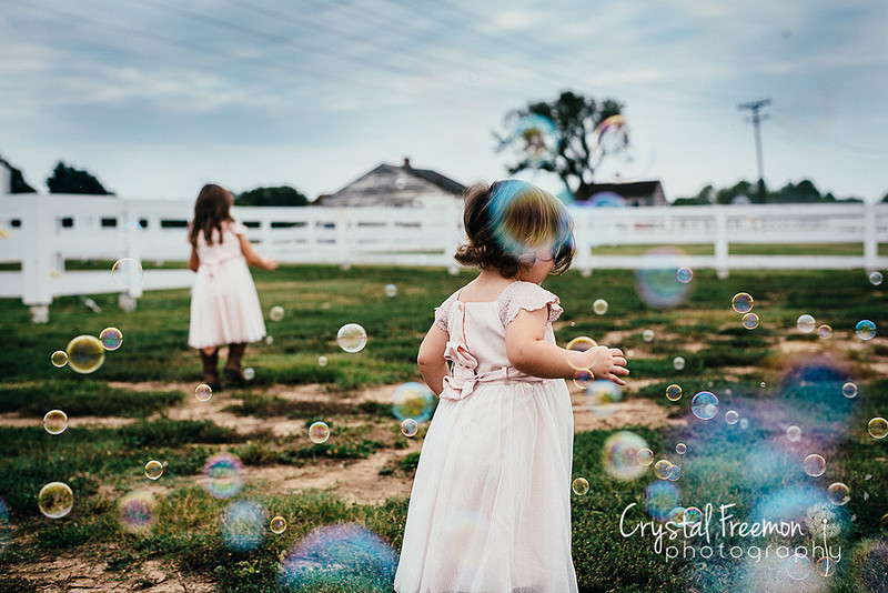 Franklin Family Photographer