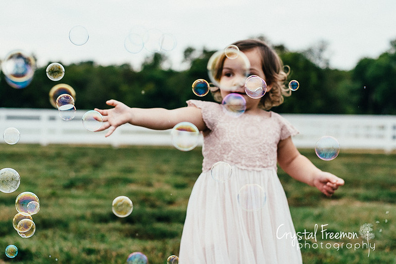 Franklin Family Photographer