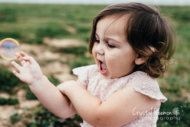 Franklin Family Photographer
