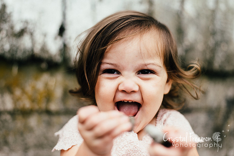 Franklin Family Photographer