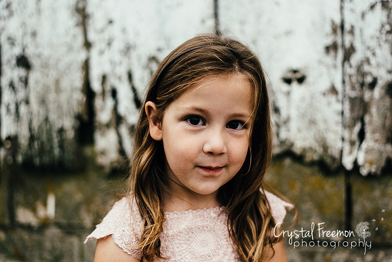 Franklin Family Photographer